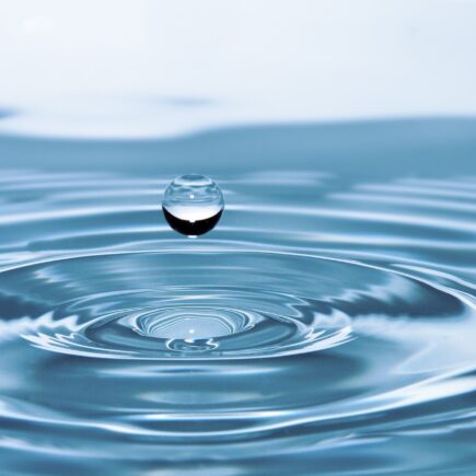beber agua