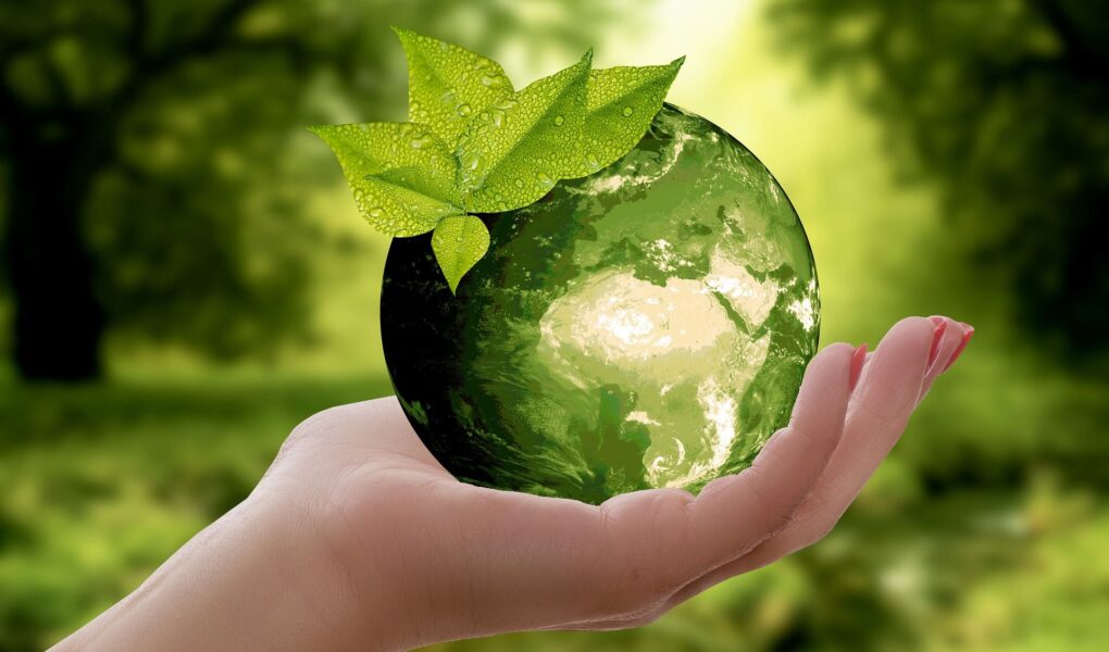 eco friendly