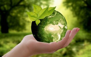 eco friendly