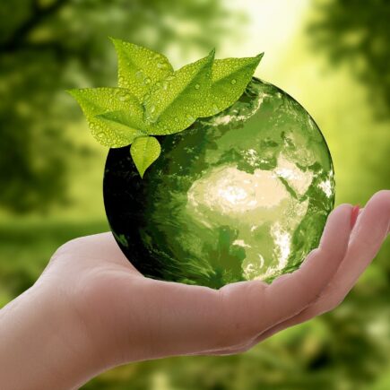 eco friendly