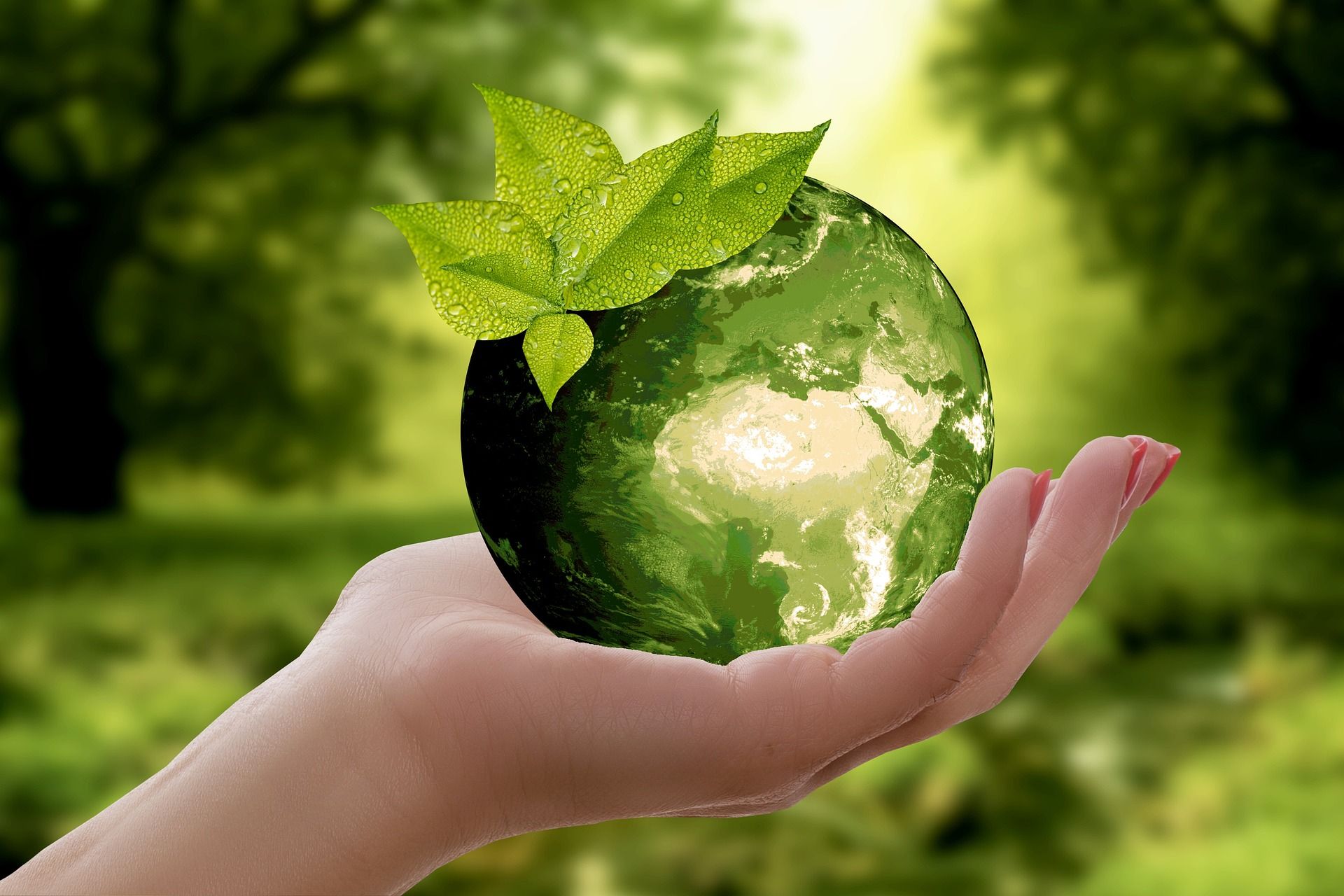 eco friendly