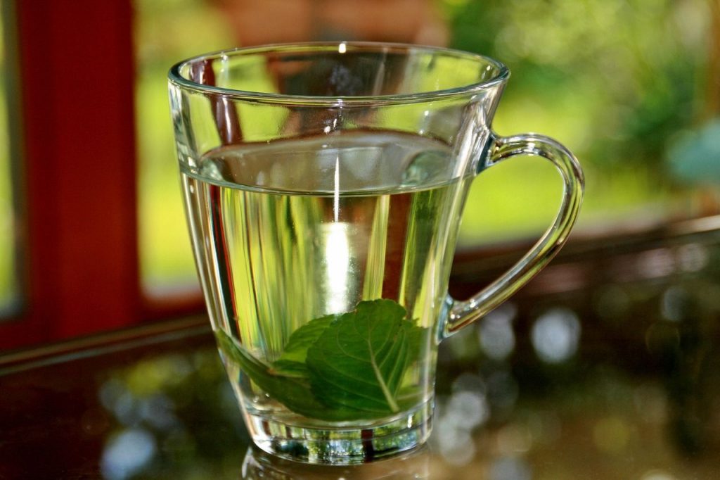 MENTA INFUSION