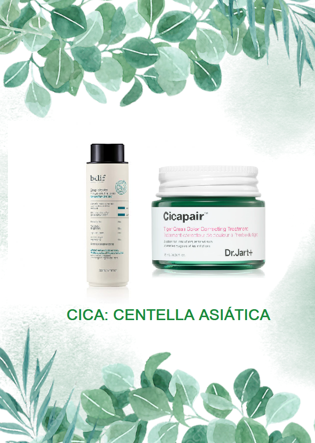 cica centella asiatica