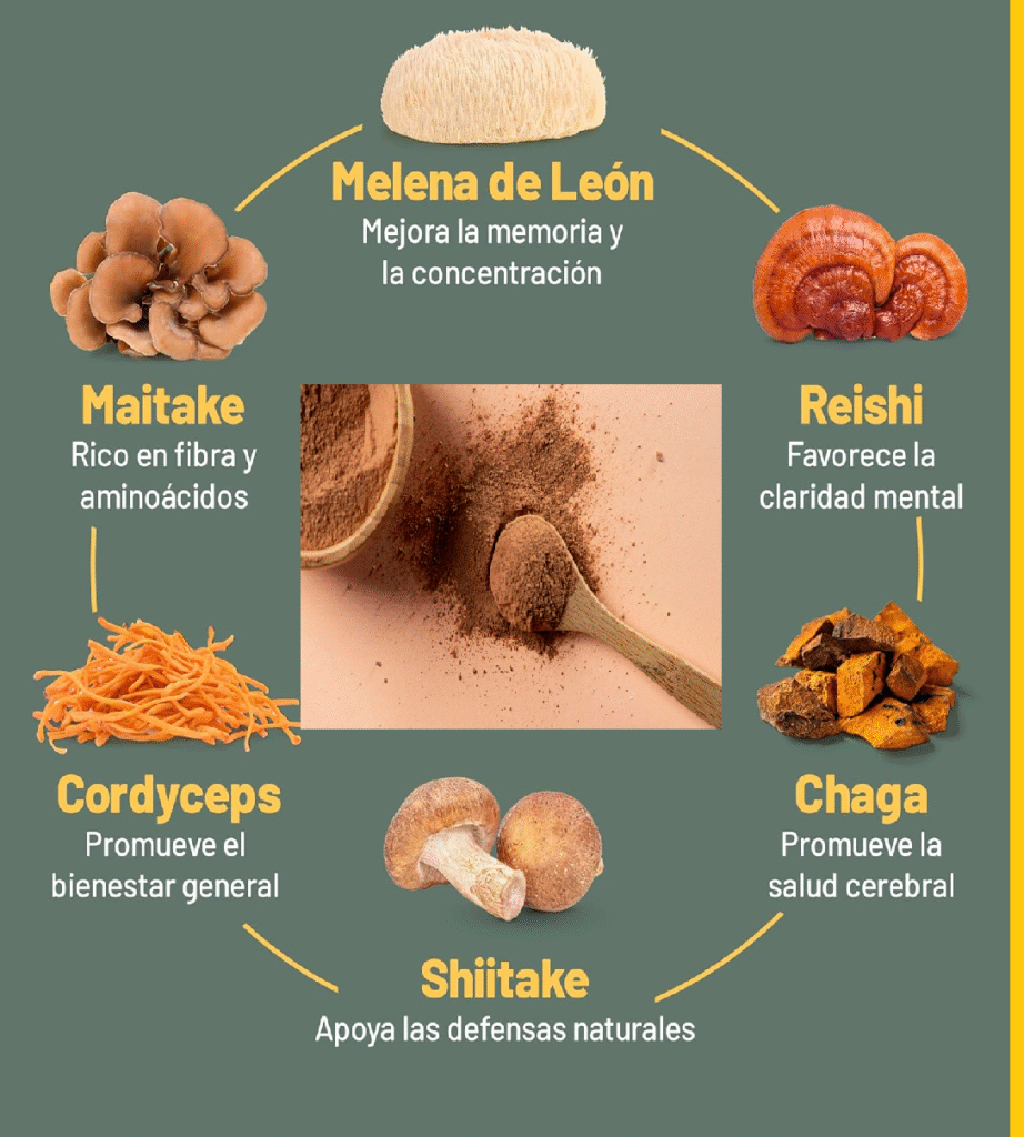 HONGOS ADAPTÓGENOS